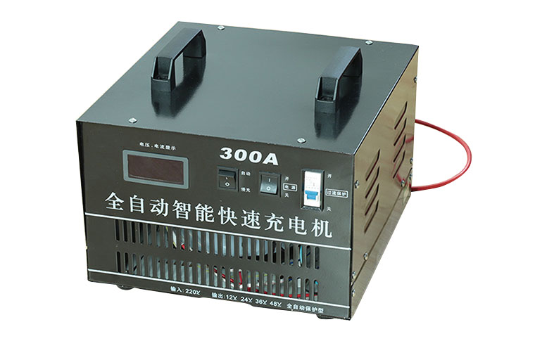 Battery charger 300A